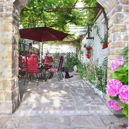 伊佐拉 Cozy Istrian House旅馆 外观 照片