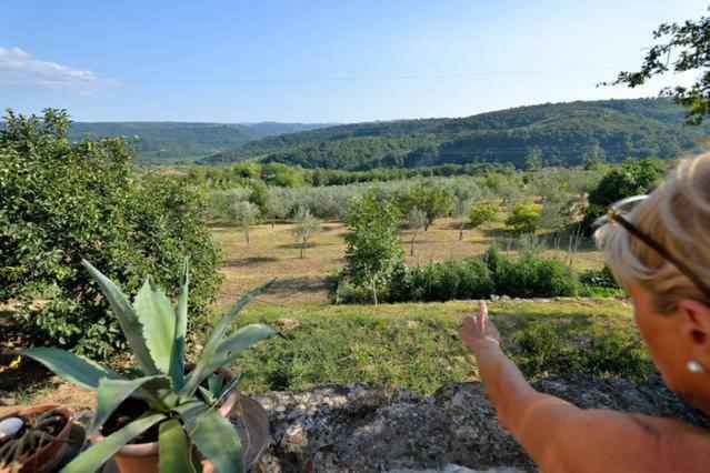 伊佐拉 Cozy Istrian House旅馆 外观 照片