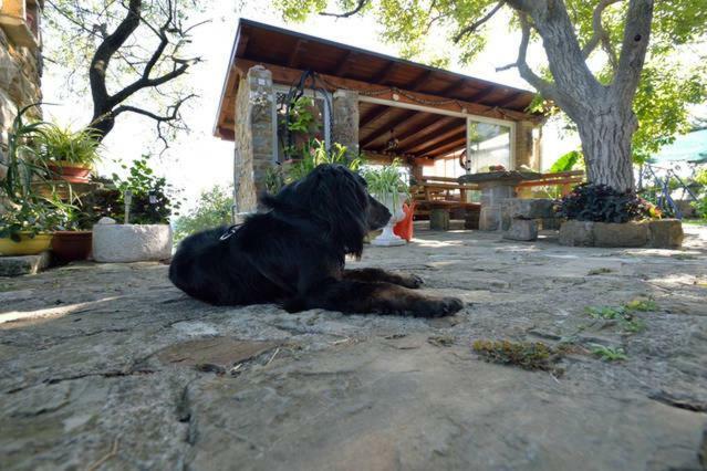伊佐拉 Cozy Istrian House旅馆 外观 照片