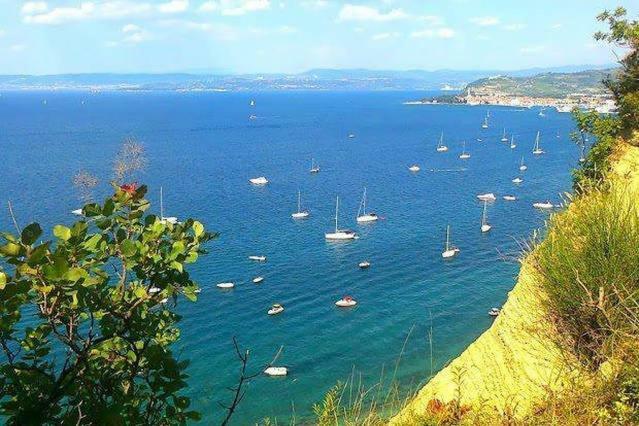 伊佐拉 Cozy Istrian House旅馆 外观 照片