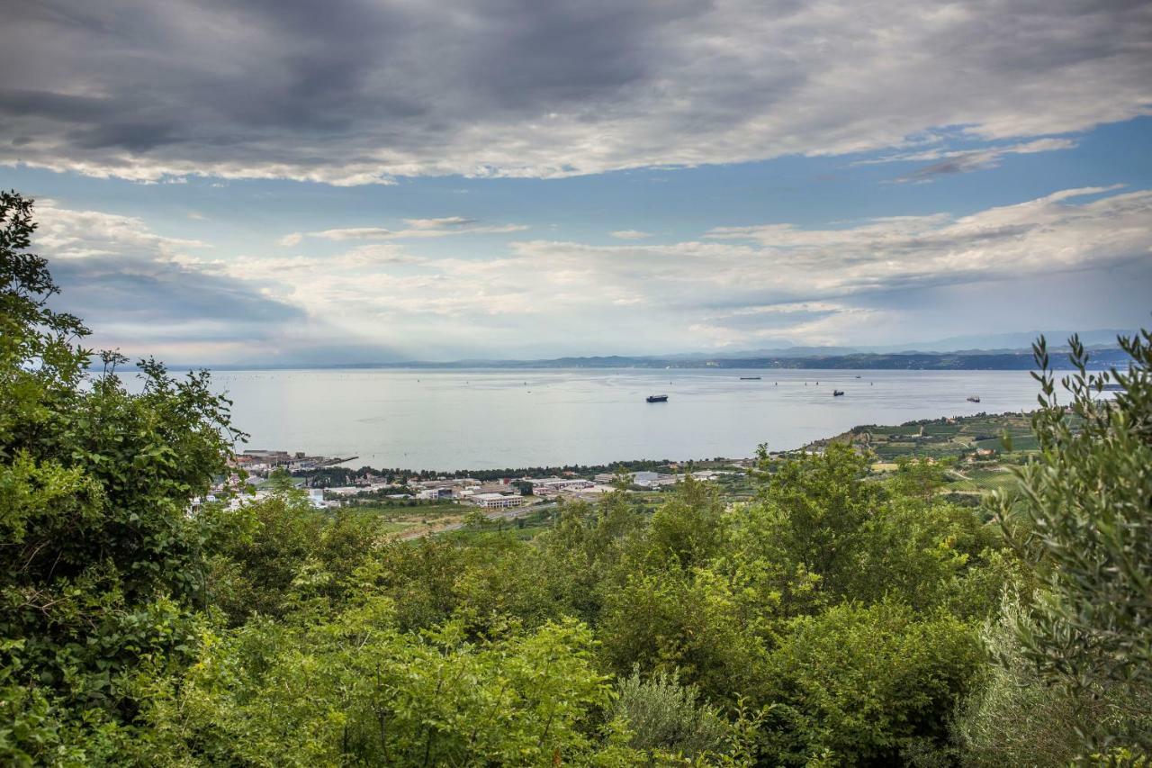 伊佐拉 Cozy Istrian House旅馆 外观 照片