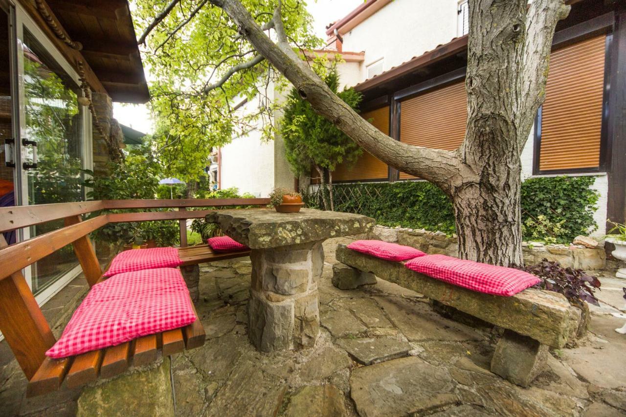 伊佐拉 Cozy Istrian House旅馆 外观 照片