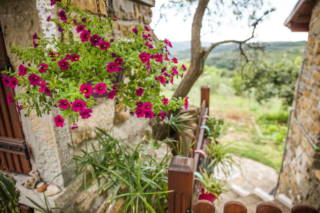 伊佐拉 Cozy Istrian House旅馆 外观 照片