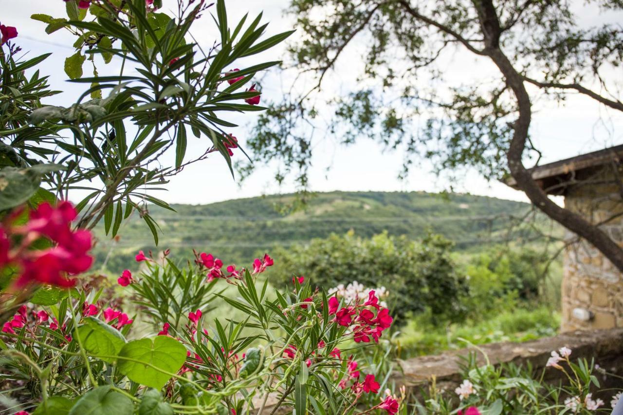 伊佐拉 Cozy Istrian House旅馆 外观 照片