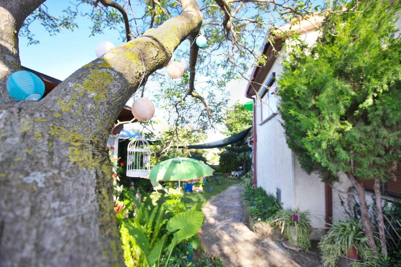伊佐拉 Cozy Istrian House旅馆 外观 照片