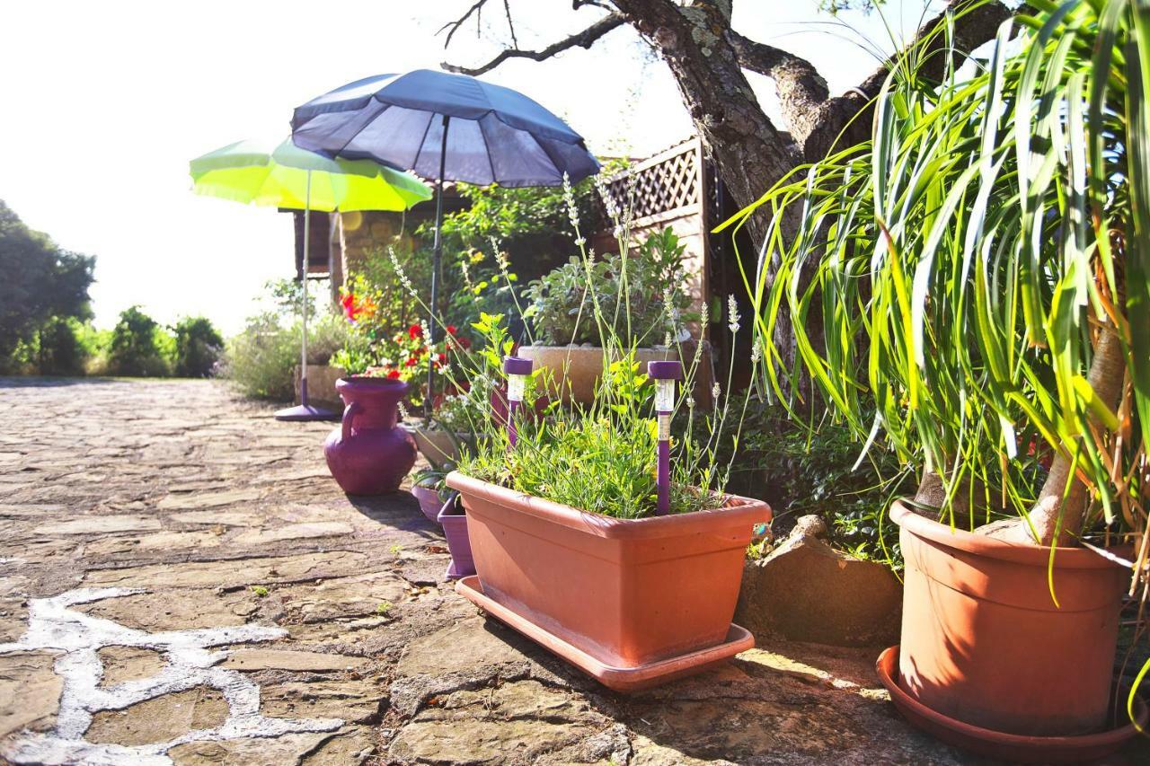 伊佐拉 Cozy Istrian House旅馆 外观 照片